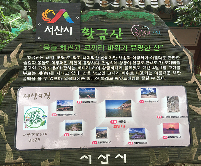 황금산19