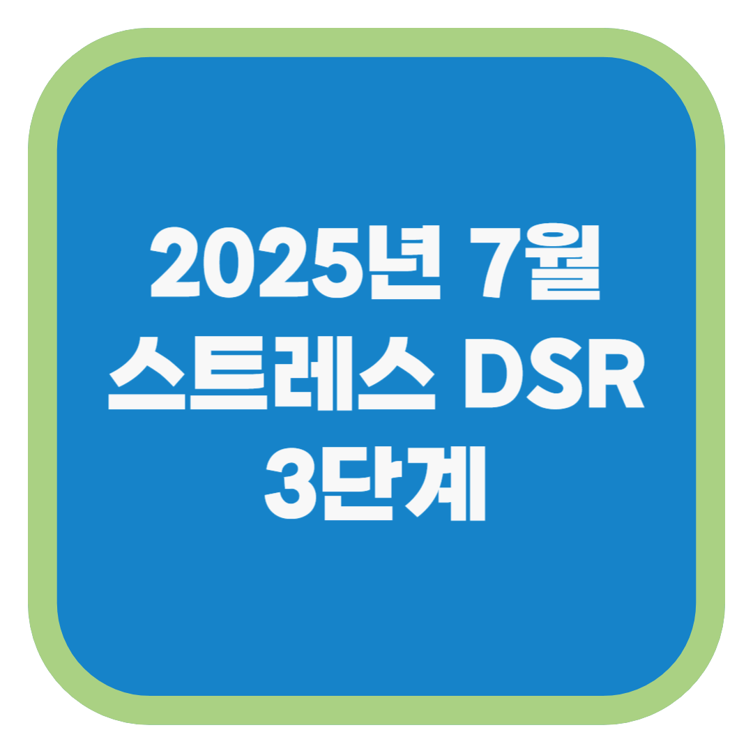 2025년 7월 스트레스 DSR 3단계