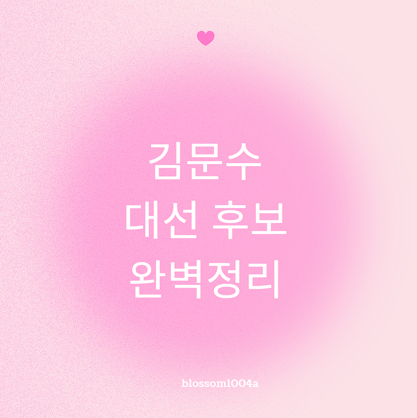 김문수 대선 후보 완벽정리