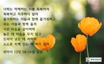 로마서 12장 설교 아이디어 말씀 준비 강해_25