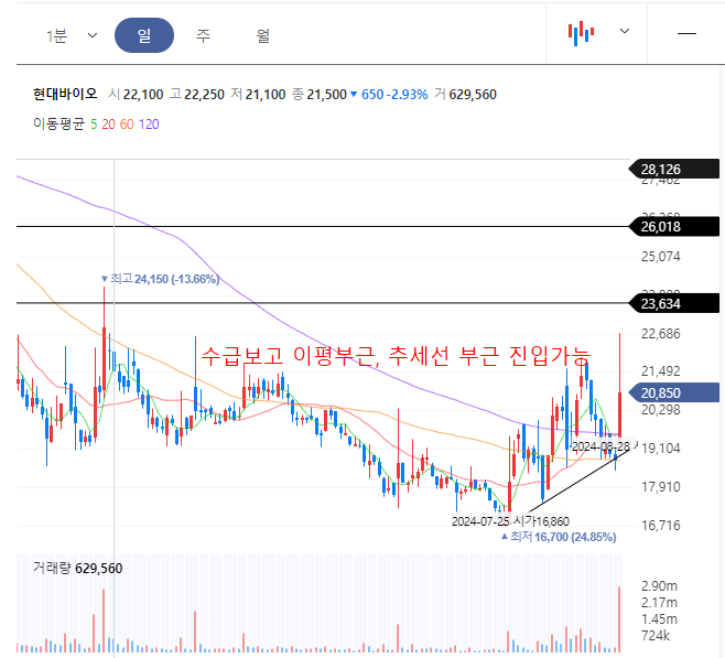 현대바이오 일봉차트