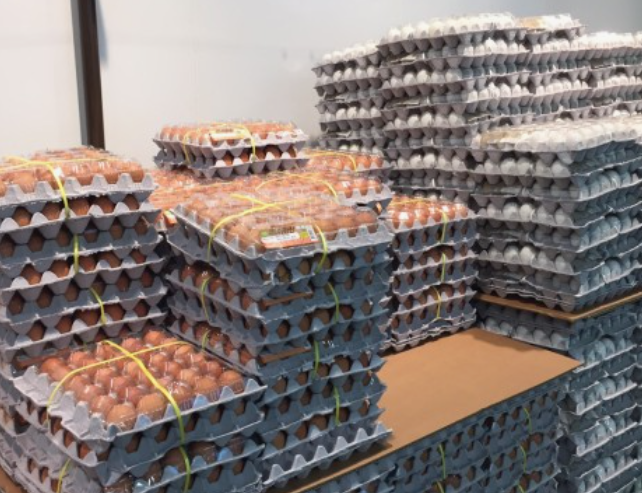 트레이더스 추천상품