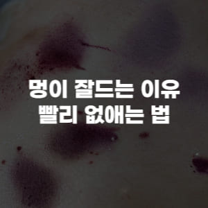멍이 잘드는 이유