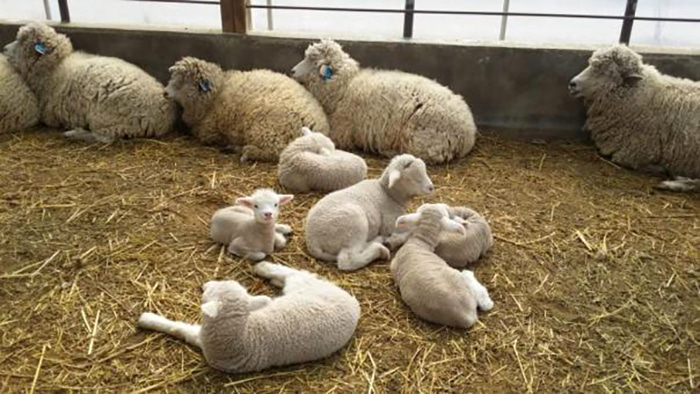 양평 가볼만한곳