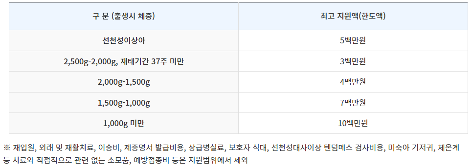 미숙아 및 선천성 이상아 의료비 지원(2)