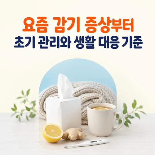 요즘 감기 증상부터 초기 관리와 생활 대응 기준