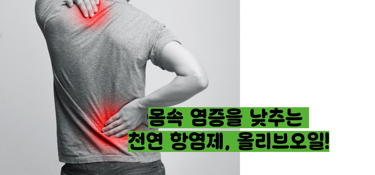 올리브오일 효능