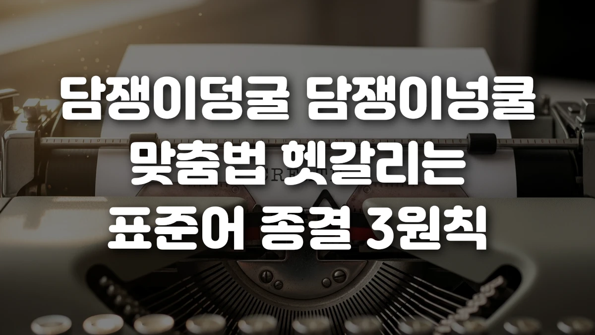 담쟁이덩굴 담쟁이넝쿨 맞춤법 헷갈리는 표준어 종결 3원칙