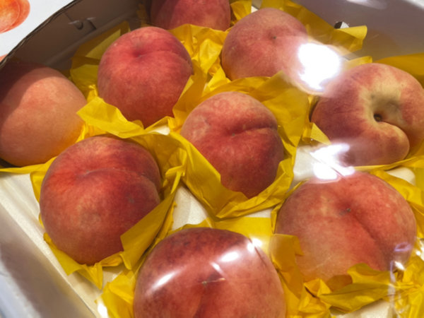 복숭아 보관방법 - 구매 후 상태 살피기