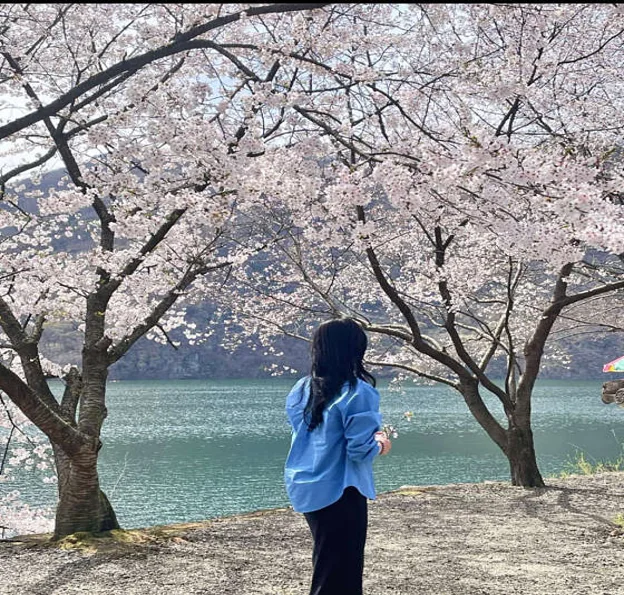 영숙백숙
