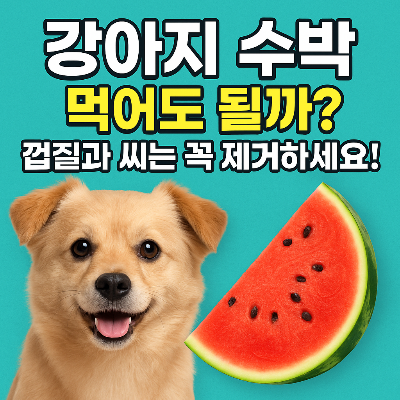 강아지 수박, 먹어도 될까? 껍질과 씨는 꼭 제거하세요!