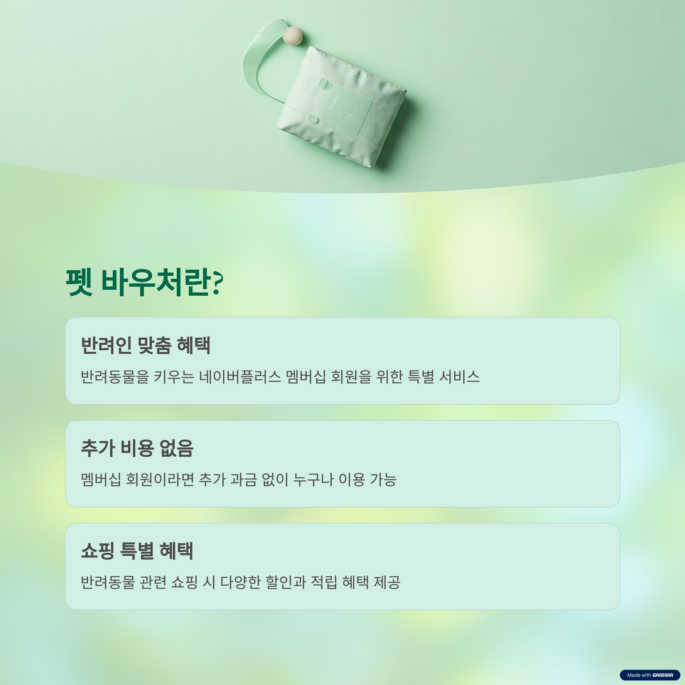 네이버플러스 멤버십 신규 혜택 펫 바우처 출시 안내 - 반려인들을 위한 특별한 혜택!