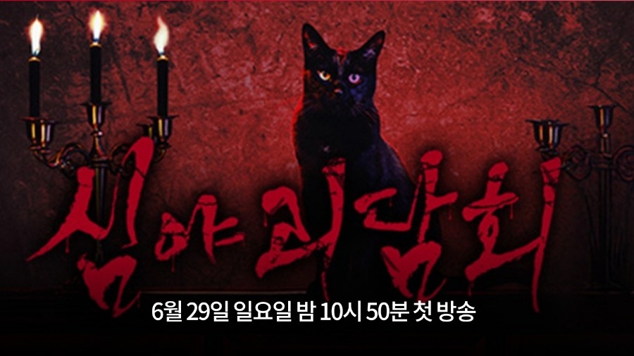 심야괴담회-보기 전 꿀팁! -고양이