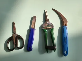 씨앗 저장법 건조 저온 밀봉 발아율 유지 교체 주기_15