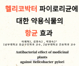 헬리코박터균 개똥쑥