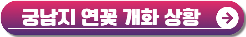 부여서동연꽃축제
