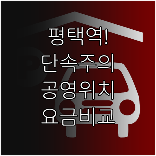 평택역 주정차 단속 구역 피하는 공영..