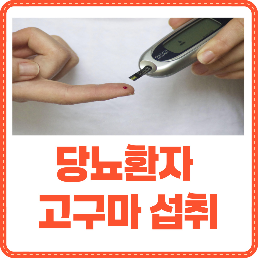 당뇨환자 고구마