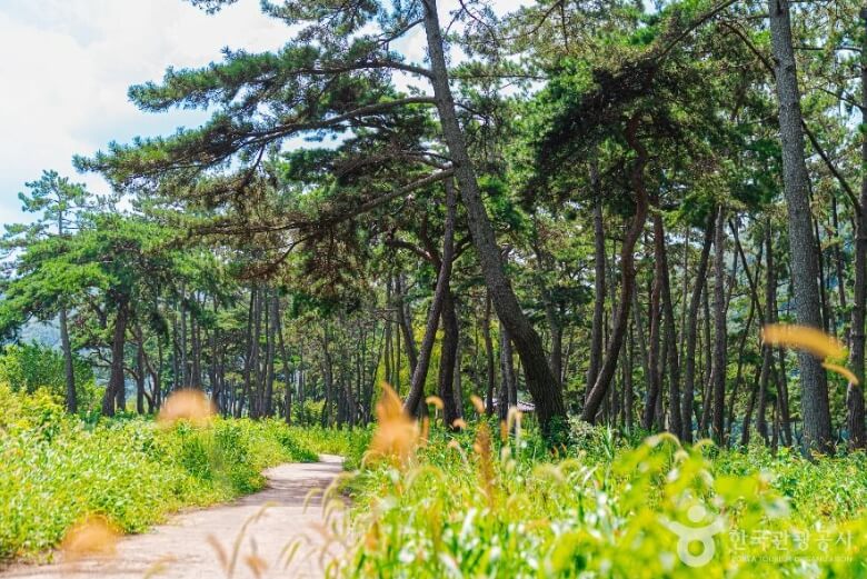 나주 가볼만한곳 베스트 10