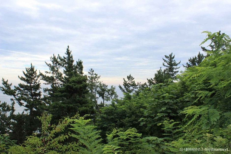 울진 가볼만한곳 베스트10