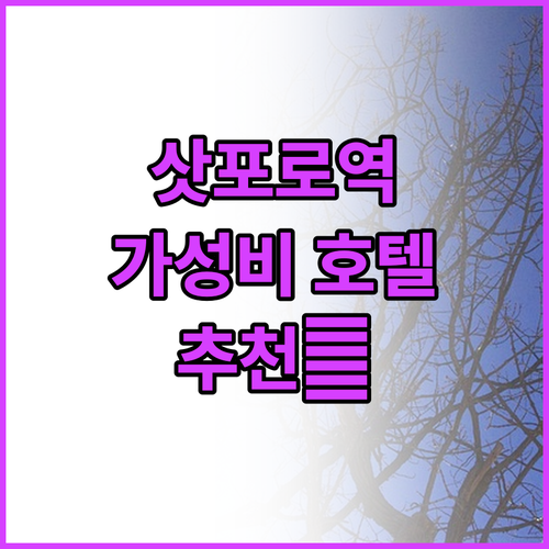 삿포로 역 근처 가성비 호텔 추천! ..