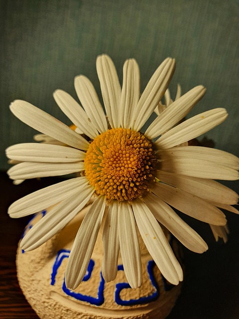 줌바 줌바댄스 불안감해소 운동효과 스트레스해소 사회적유대감 자신감상승 긍정적마인드 긍정적에너지