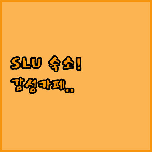 시애틀 SLU 지역 디지털 노마드를 ..