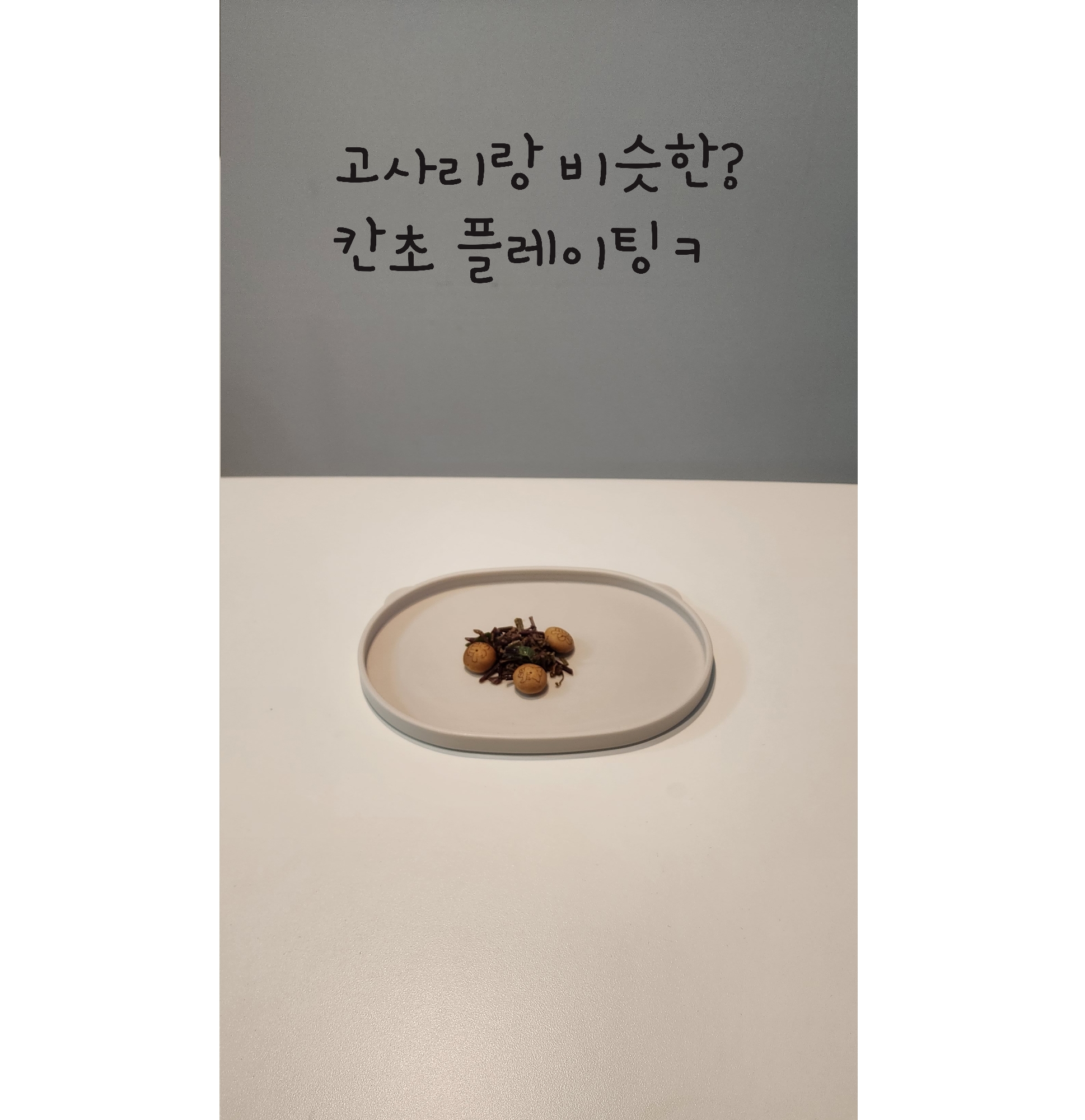 고사리 플레이팅