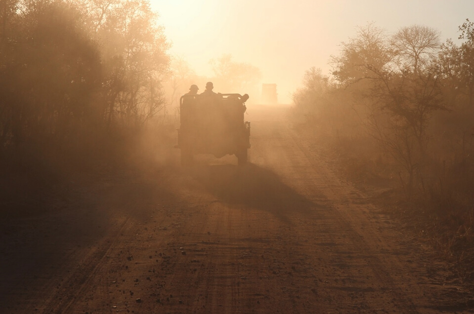 지프로 사파리 투어중인 사진