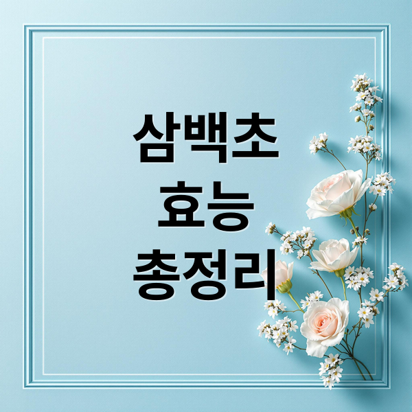 삼백초 효능 : 비염 완화부터 피부 건강까지