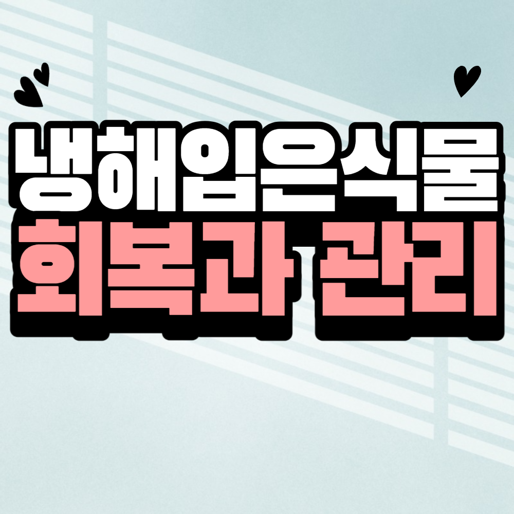 냉해입은 식물 관리