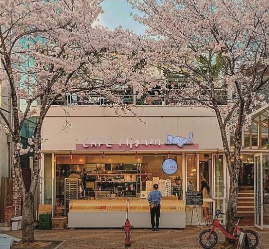 합정-망원-숨은-감성-벚꽃-카페-7-인스타-위치-예약-주차