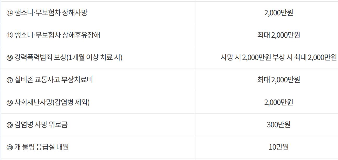 나주시 시민안전보험