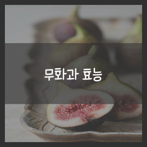 무화과 효능