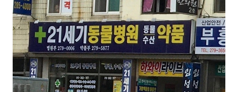 목포시 동물병원