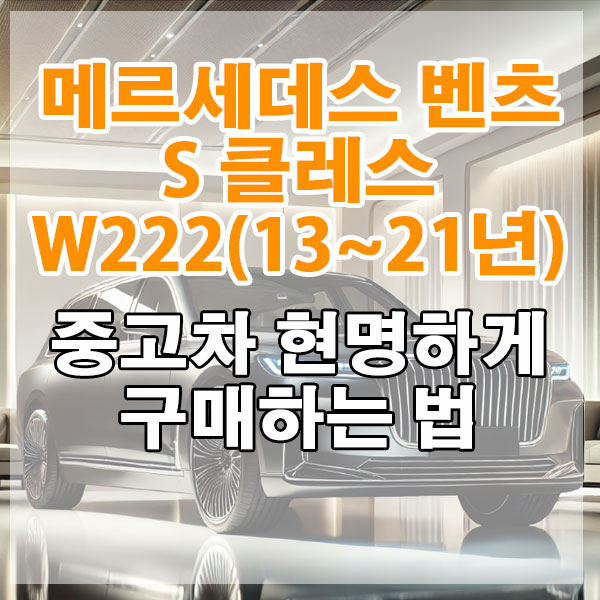 메르세데스 벤츠 S 클래스 W222(13~21년) 중고차 현명하게 구매하는 법