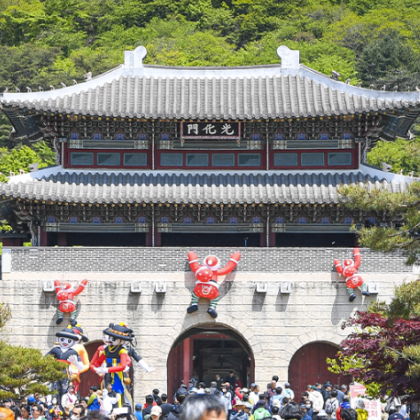 출처 : 문화체육관광부 지정 명예문화광축제