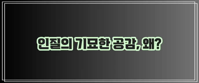 스톡홀름 증후군 그 의미를 알아봅시다!