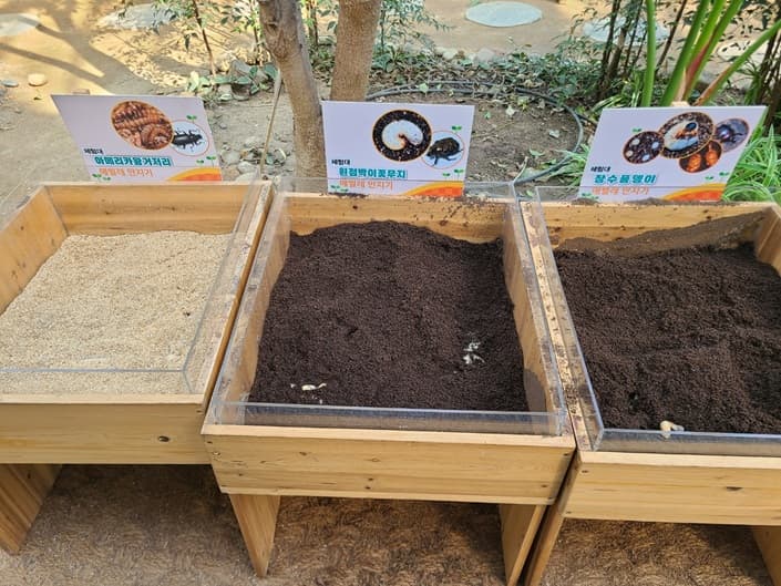 에벌레 만지기 체험