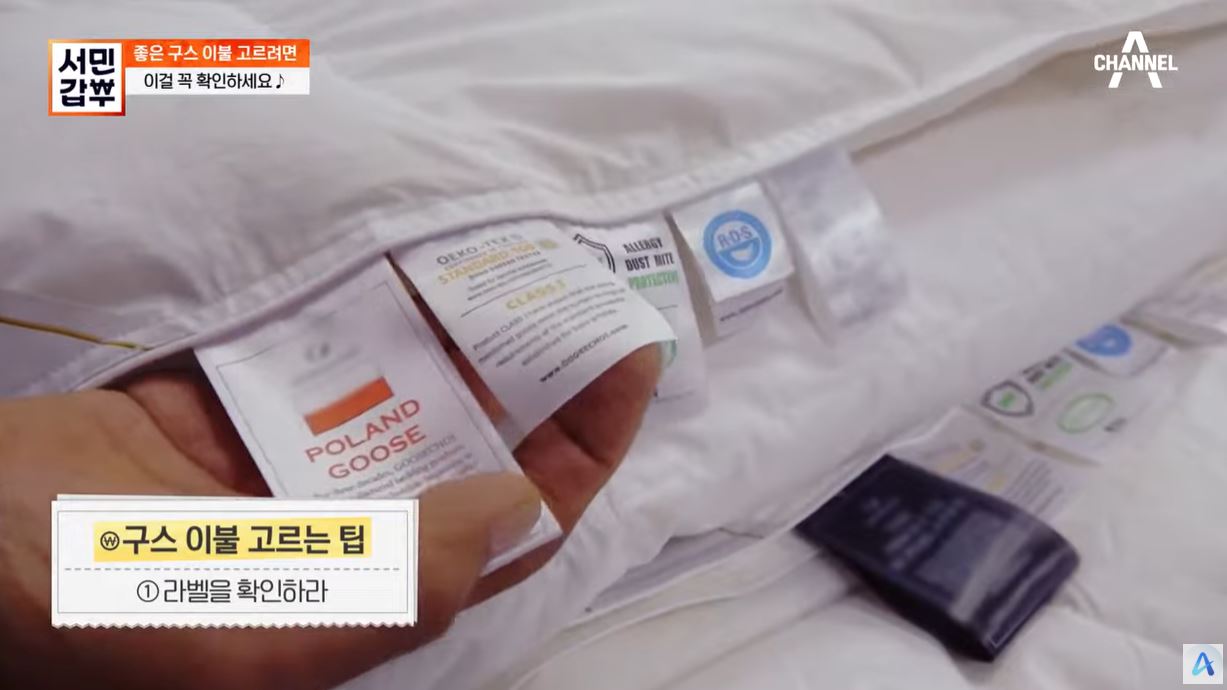 구스초이 인증서