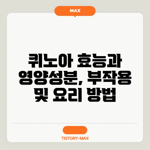 퀴노아 효능과 영양성분, 부작용 및 요리 방법