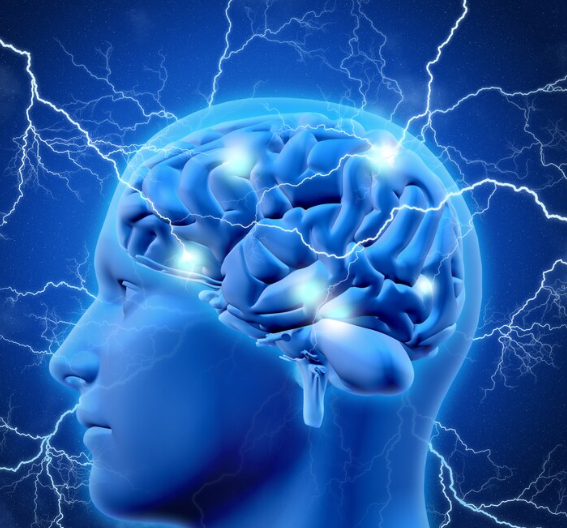 경제학 읽기 : 우리는 왜 비싼 주식을 더 사고, 싼 주식을 외면할까?