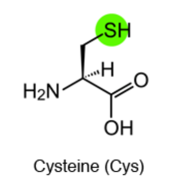 글루타치온 효능
