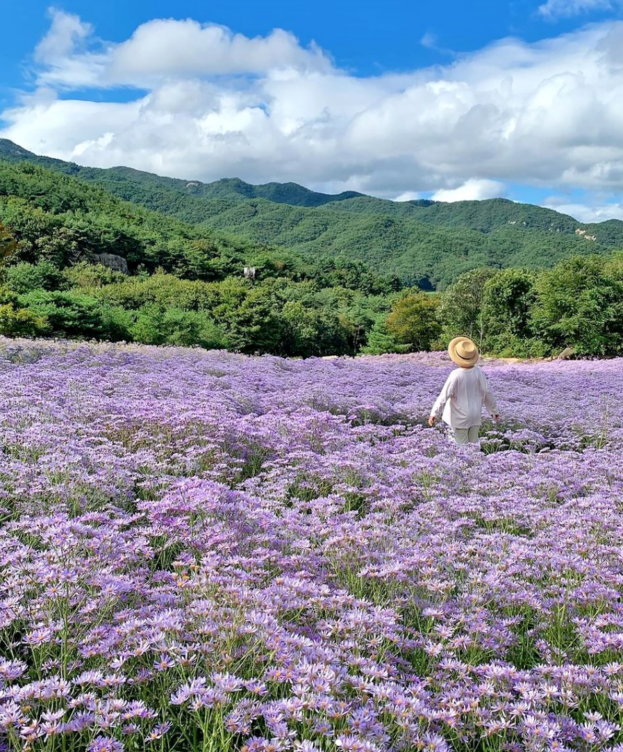 문경 가볼만한곳 베스트10