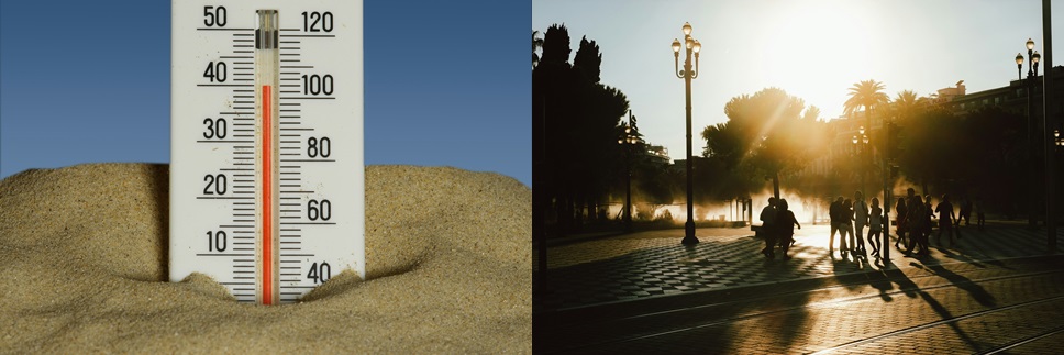 더위 관련 사진입니다.