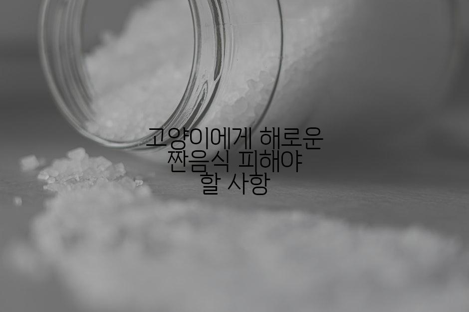 고양이에게 해로운 짠음식 피해야 할 사항