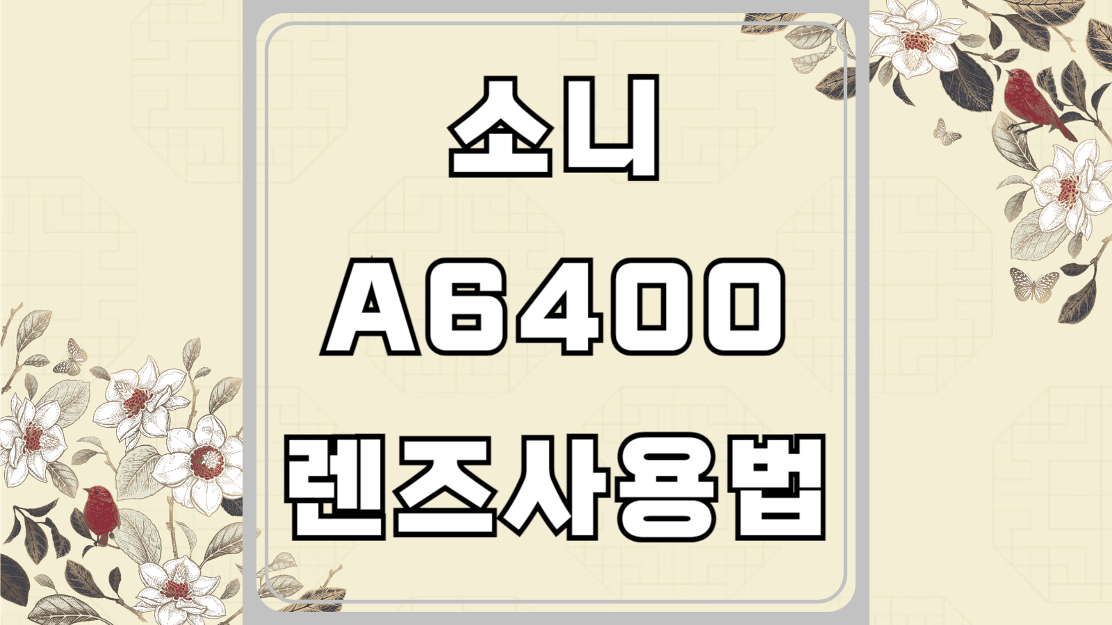 소니 A6400 사용법과 렌즈 추천