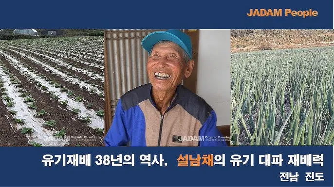 &amp;quot;대파
