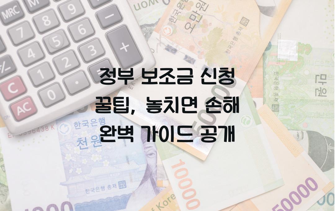 정부 보조금 신청 꿀팁, 놓치면 손해!