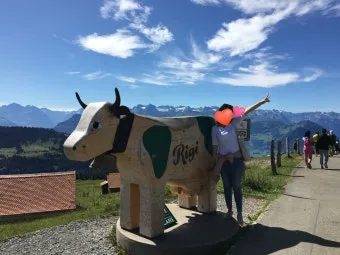 스위스 리기산 당일치기 유람선산악열차하이킹 완벽 코스 후기로 안내_24